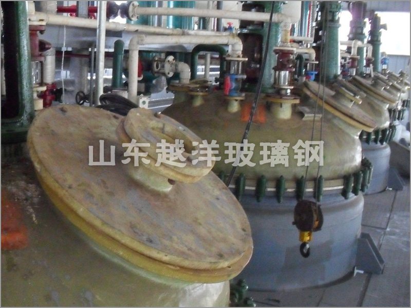 Shandong Heze / FRP Reactor Case