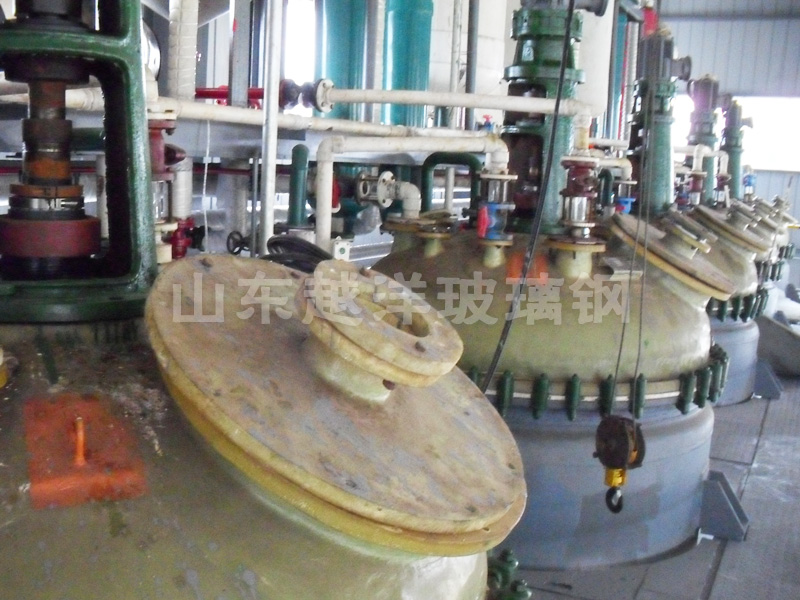 YUEYANG FRP reactor kettl